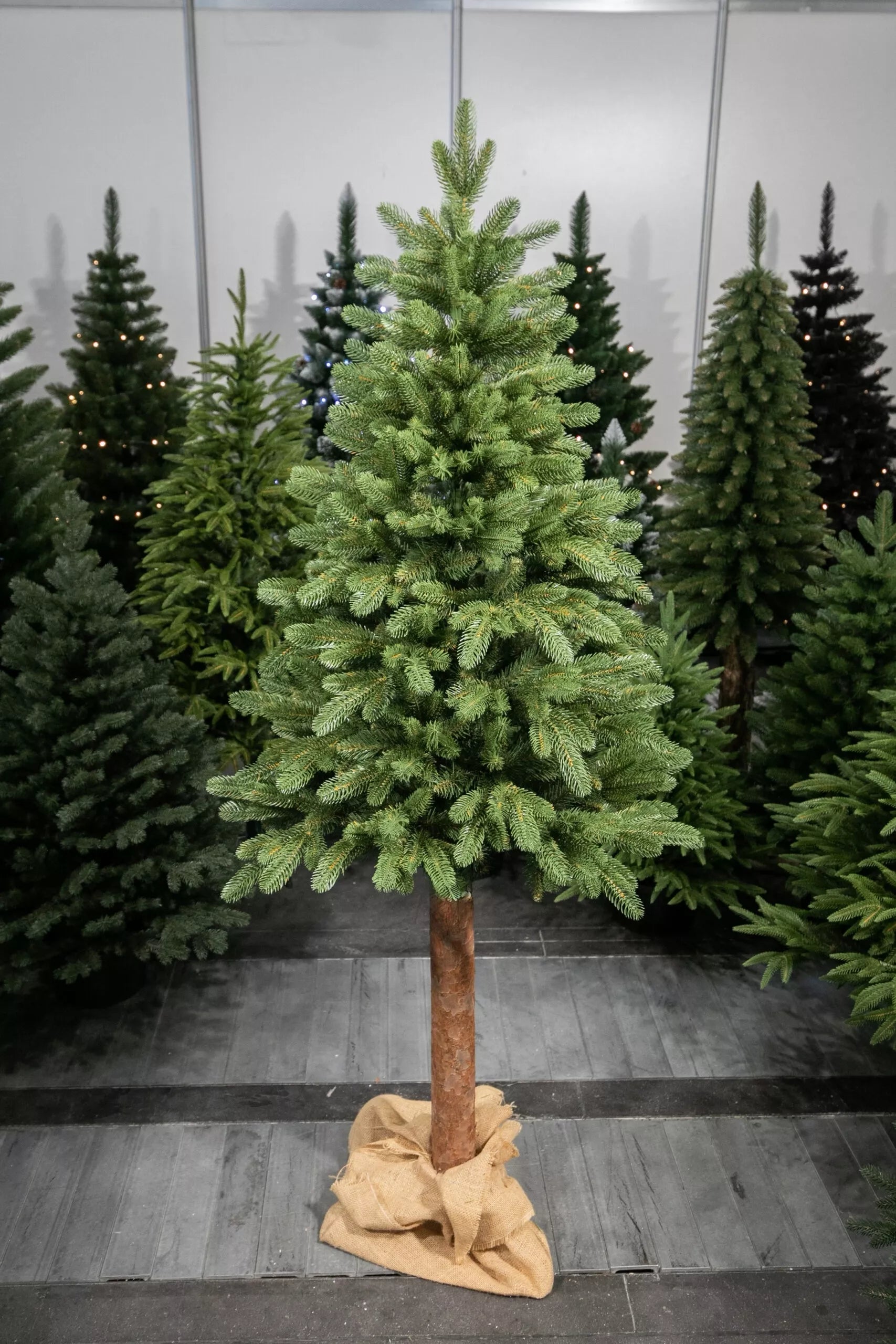 150 cm Kalėdinė eglutė „Skandinaviškas kėnis“