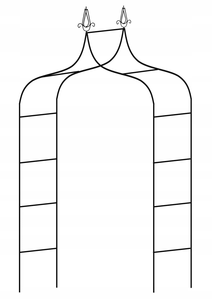 Sodo pergola augalams 150 × 37 × 240 cm, metalinė, juoda